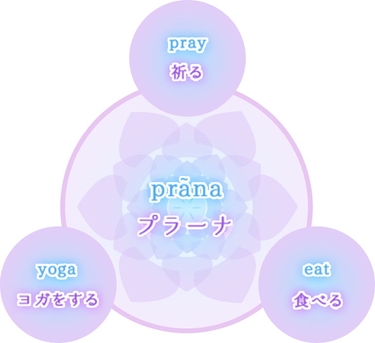 プラーナを高めるロークレンズ®️３つの要素